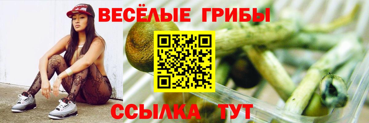 наркошоп  Псилоцибиновые грибы Psilocybe  Вход с VPN  Чистополь 